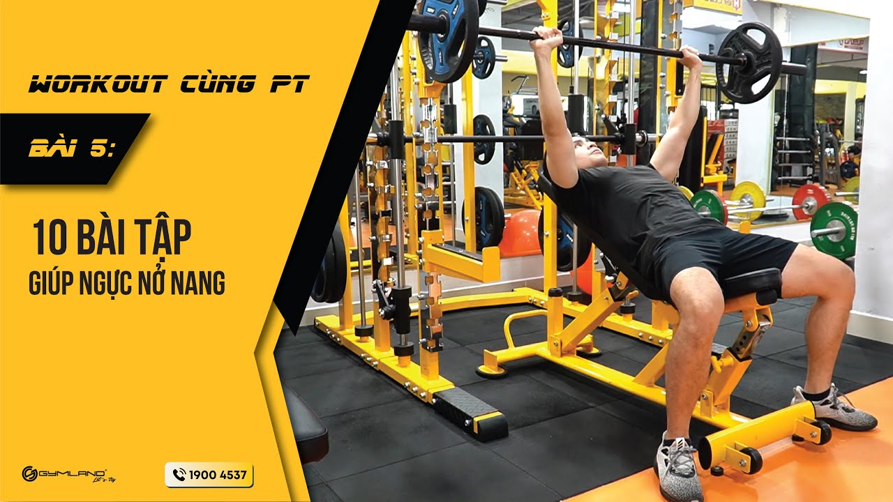 10 BÀI TẬP CƠ NGỰC TỐT NHẤT TẠI PHÒNG GYM
