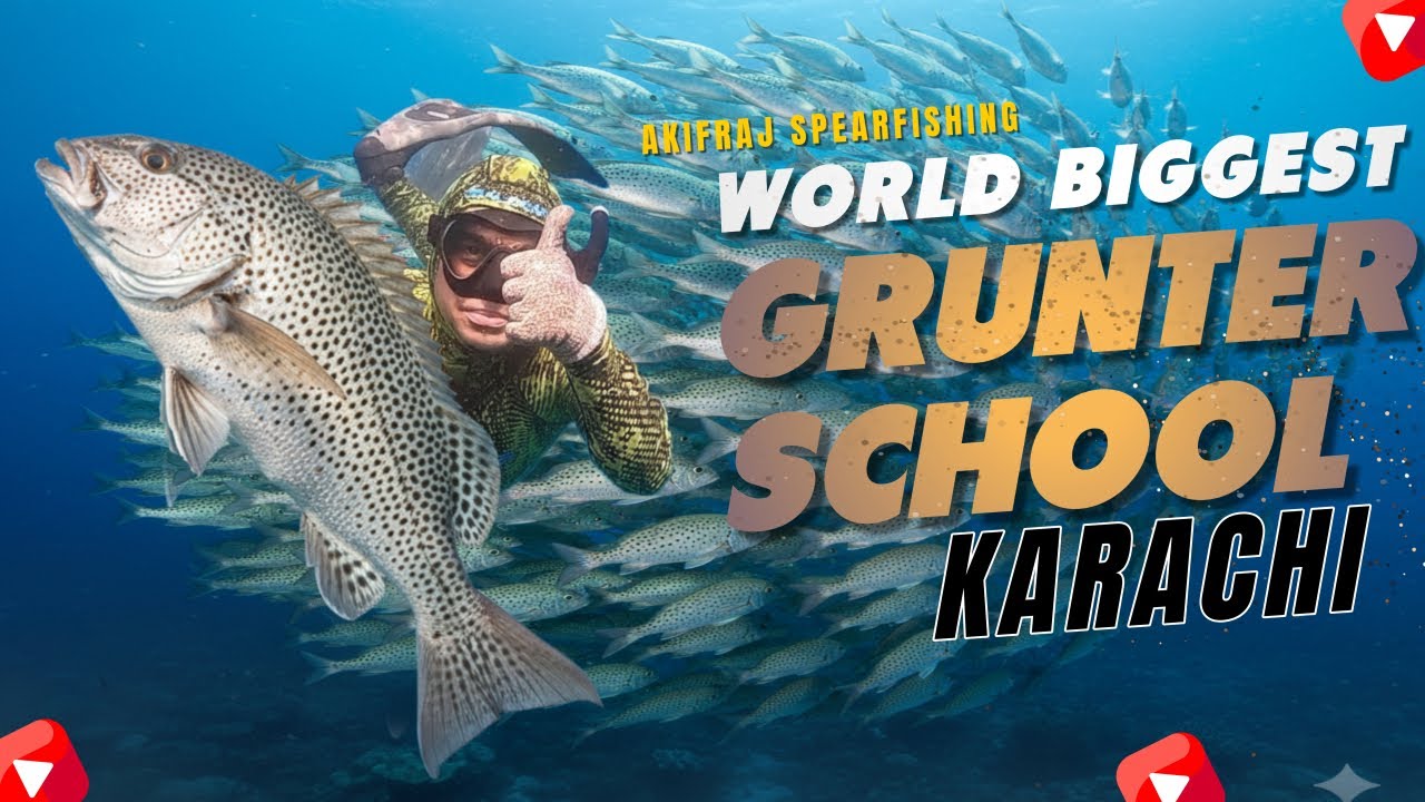 World’s Biggest Grunter Fish School Spearfishing | Deep Sea Container Dive Near Clifton Karachi