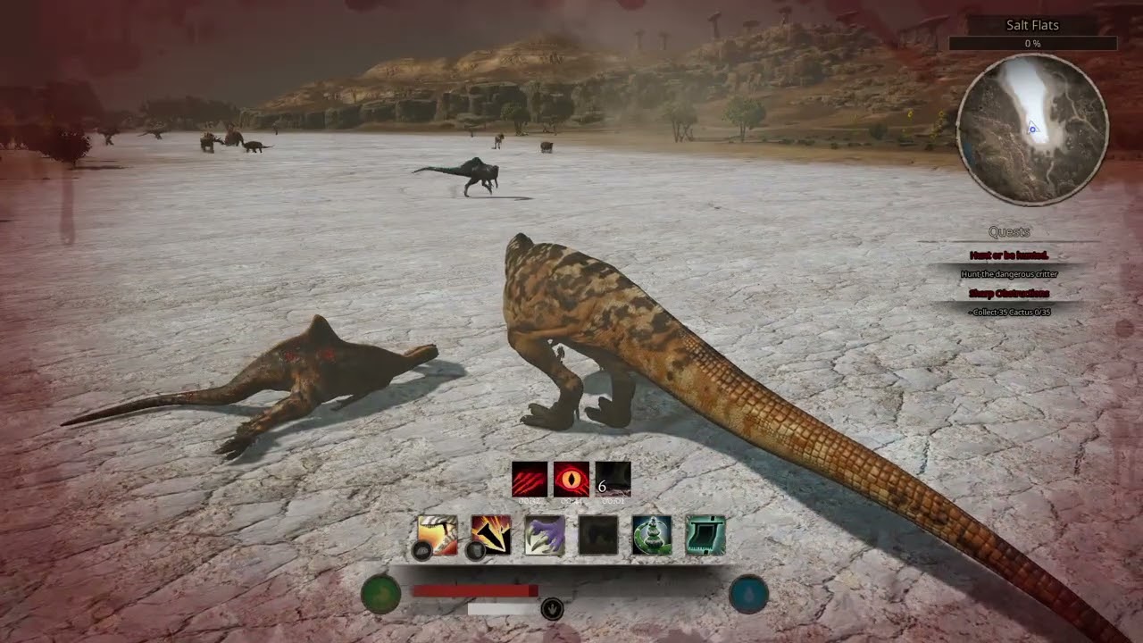 Torvo vs conc duo
