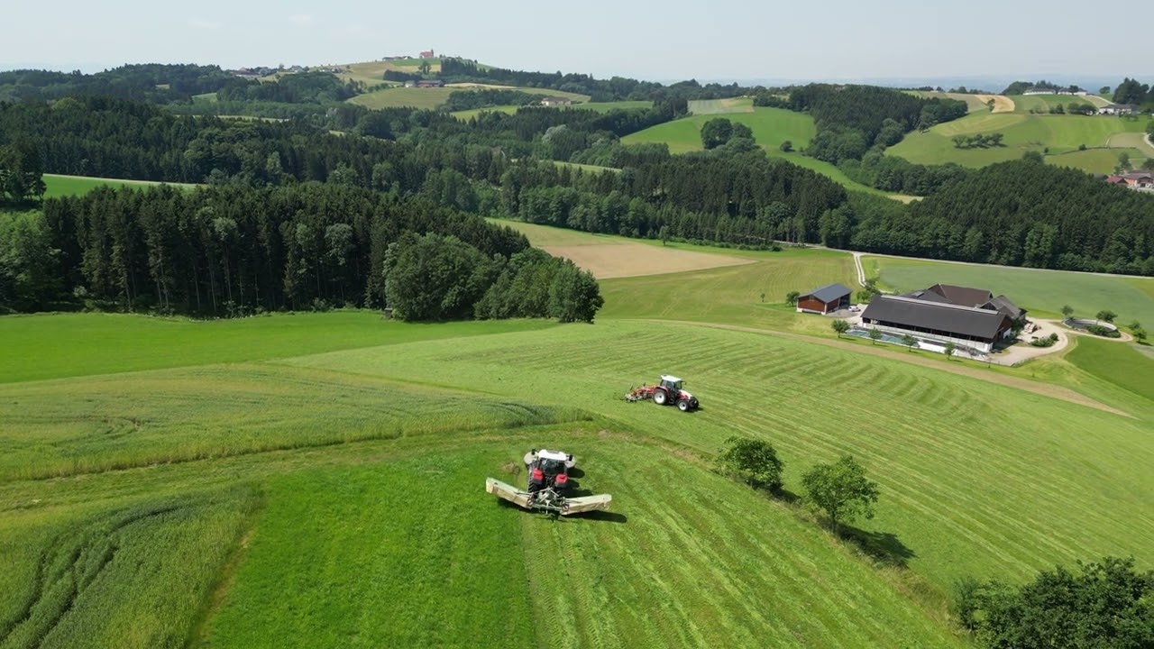 2. Schnitt Heu 2023/ Steyr/ Krone/ Pöttinger/ Deutz