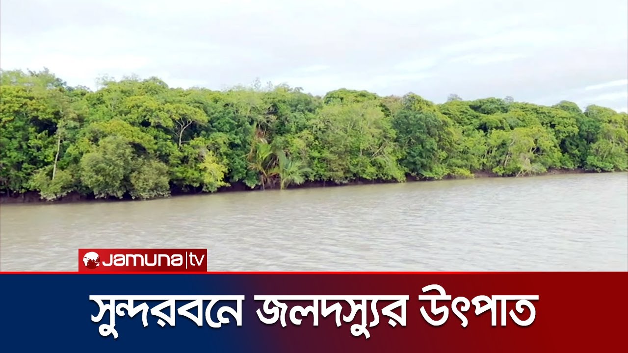 সুন্দরবনে আবারও জলদস্যুর উৎপাত, বনে যেতে ভয় পাচ্ছেন জেলেরা | Sundarbans Pirate | Jamuna TV