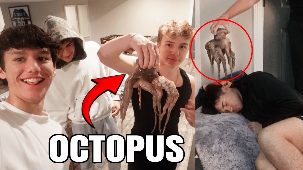 Мы надели ему на голову осьминога...