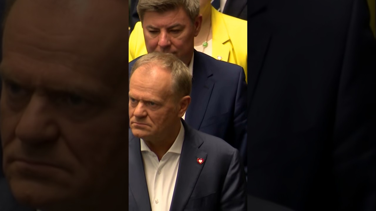 Haki na Hołownię i Kobosko! Tusk dociska koalicjant&oacute;w? Kulisy afery Collegium Humanum