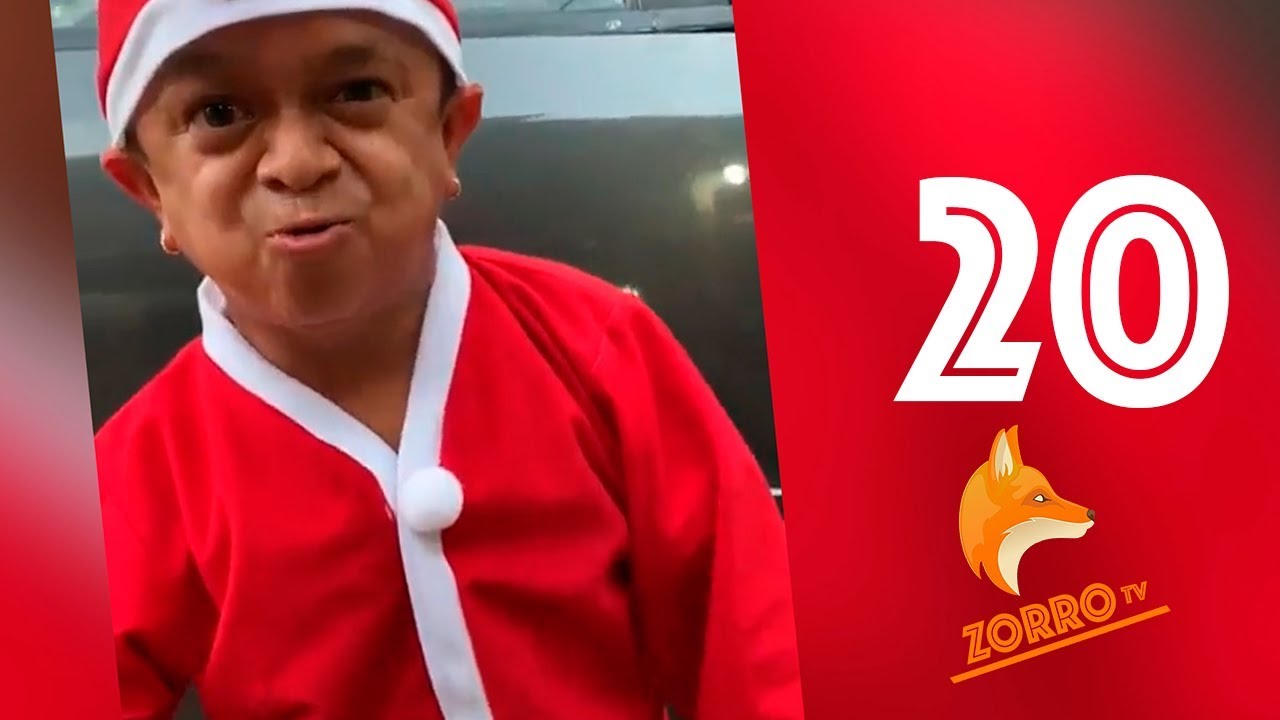 Solo pasa en Ecuador #20 | Zorrotv-EC