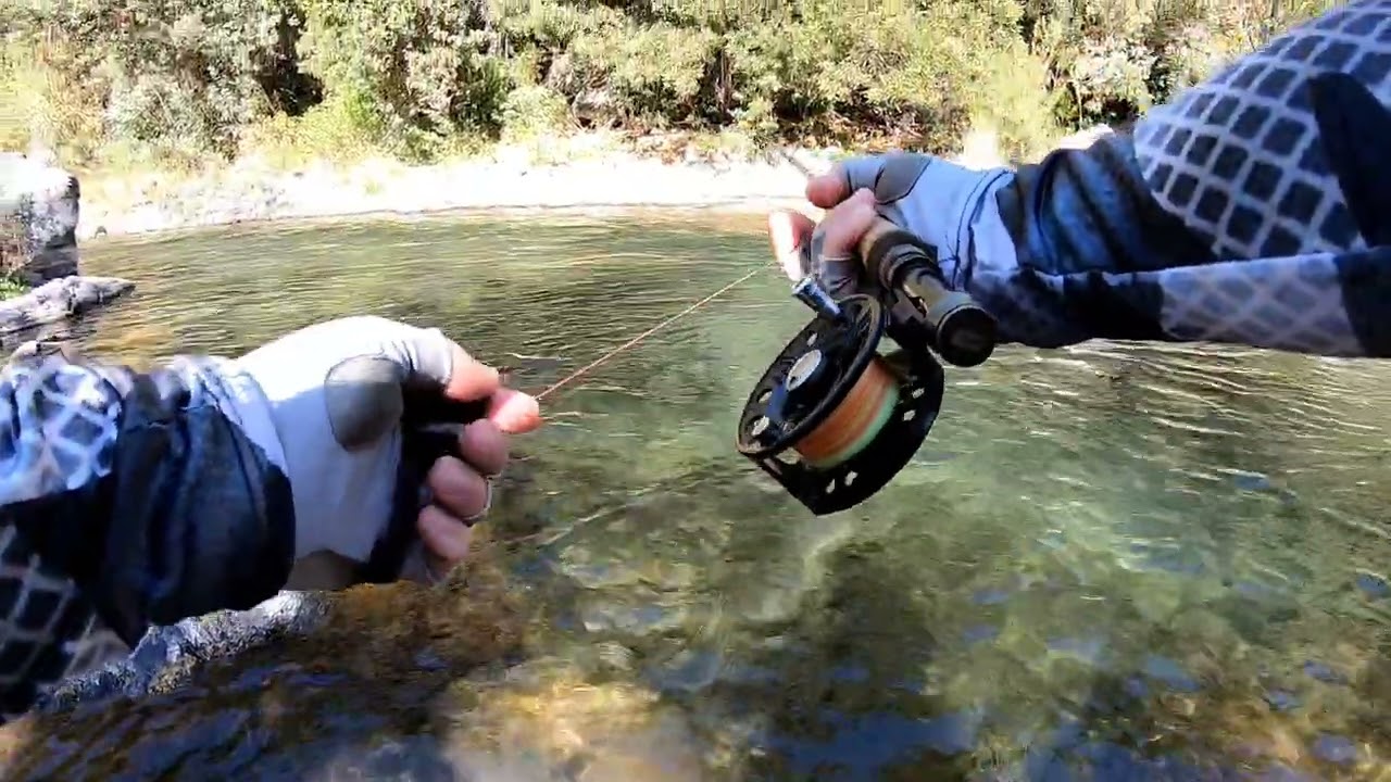 un rato m&aacute;s de pesca en r&iacute;o Claro  #pescaalhilo #pescaninfa #pescaaperdigon