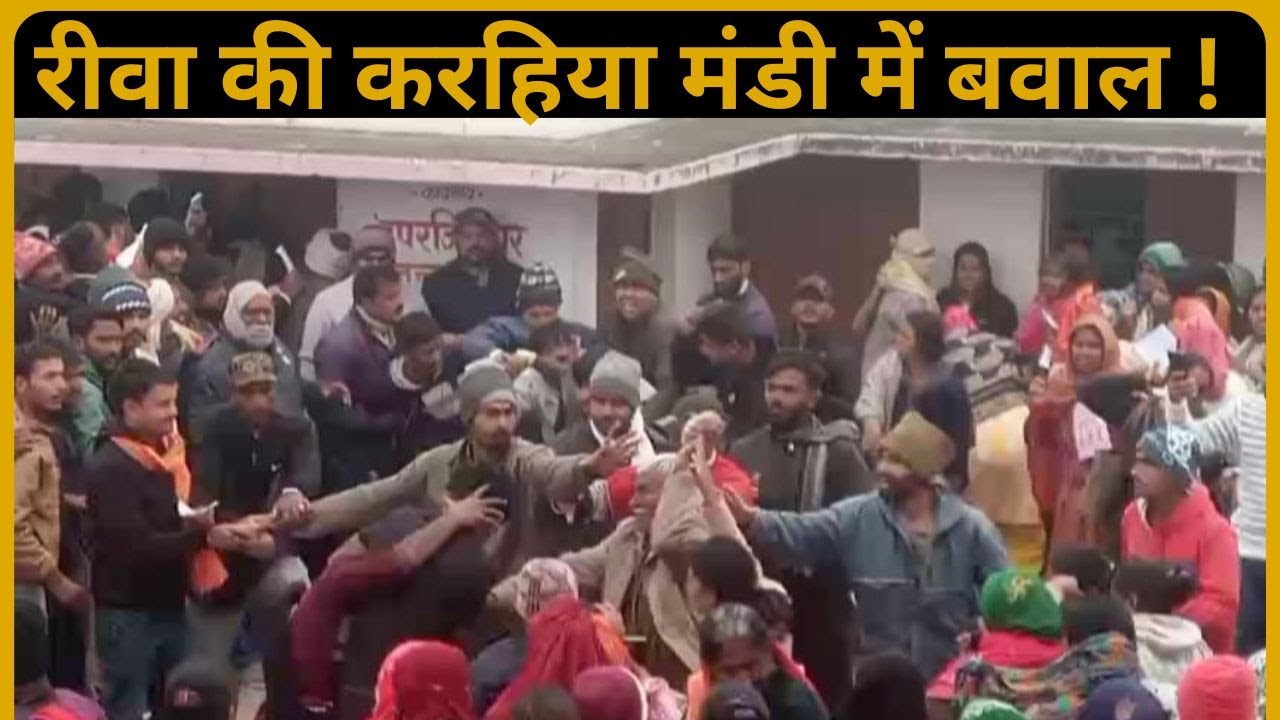 रीवा की करहिया मंडी में बवाल ! किसानों के बीच चले लात घूंसे, खाद वितरण में अव्यवस्था से भीड़...