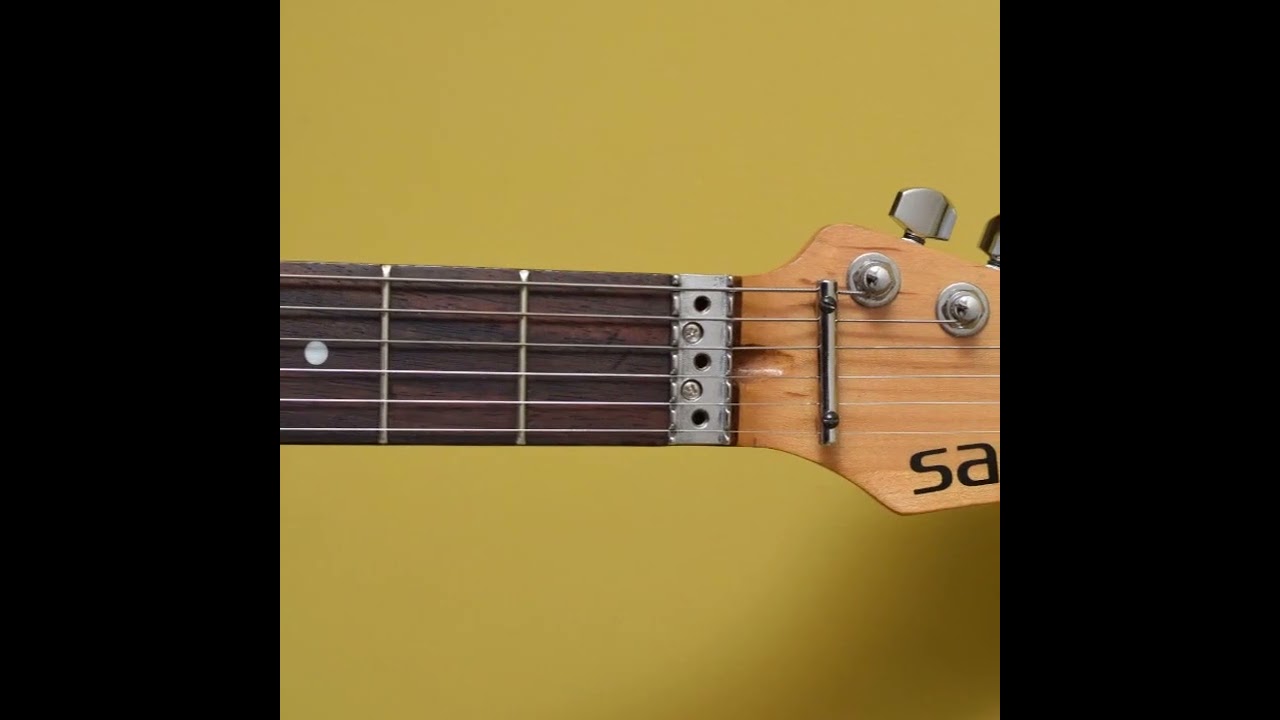 Guitarra Telecaster Braço SAMICK VALLEY ARTS Custom Pro (012) 