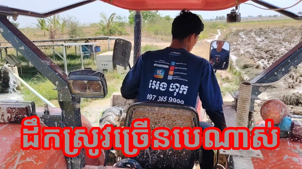 ដឹកស្រូវ​ទៀតហើយ​