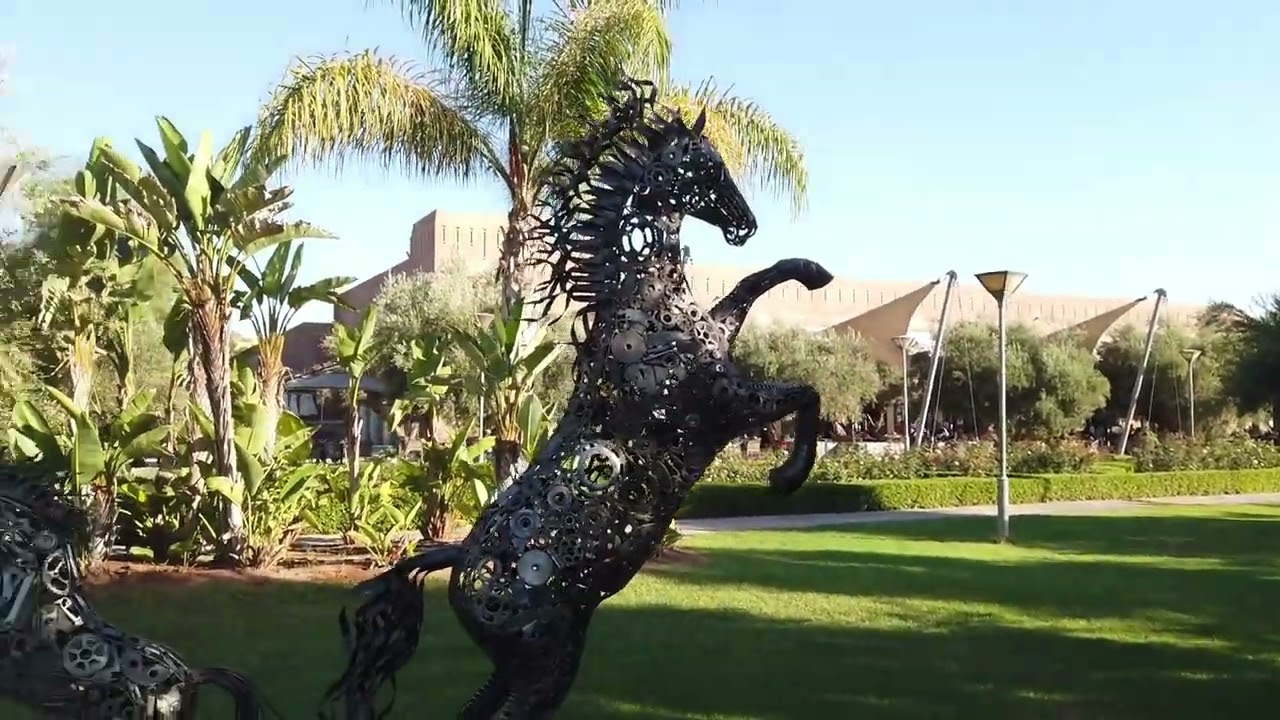 marrakech kenzi agdal medina