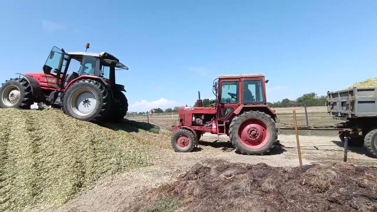 Silózás 2022 Nádasd