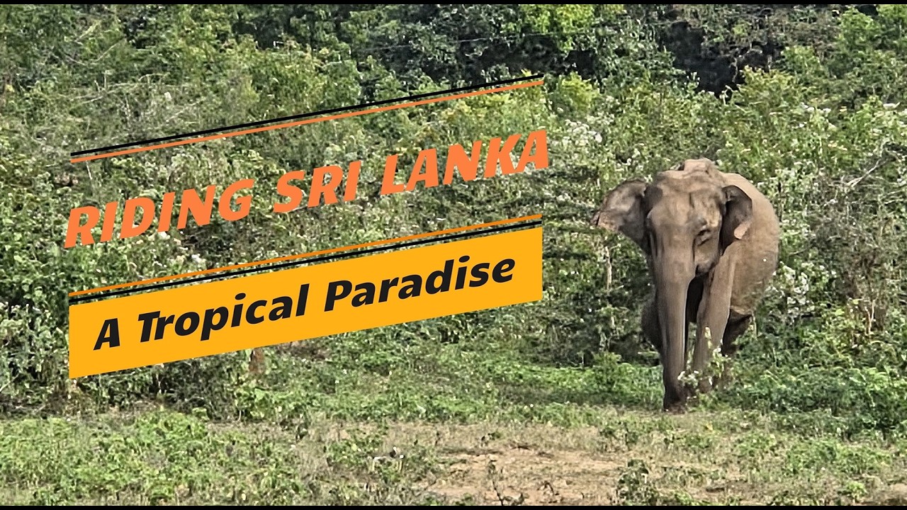 Riding Sri Lanka   ATropical Paradise