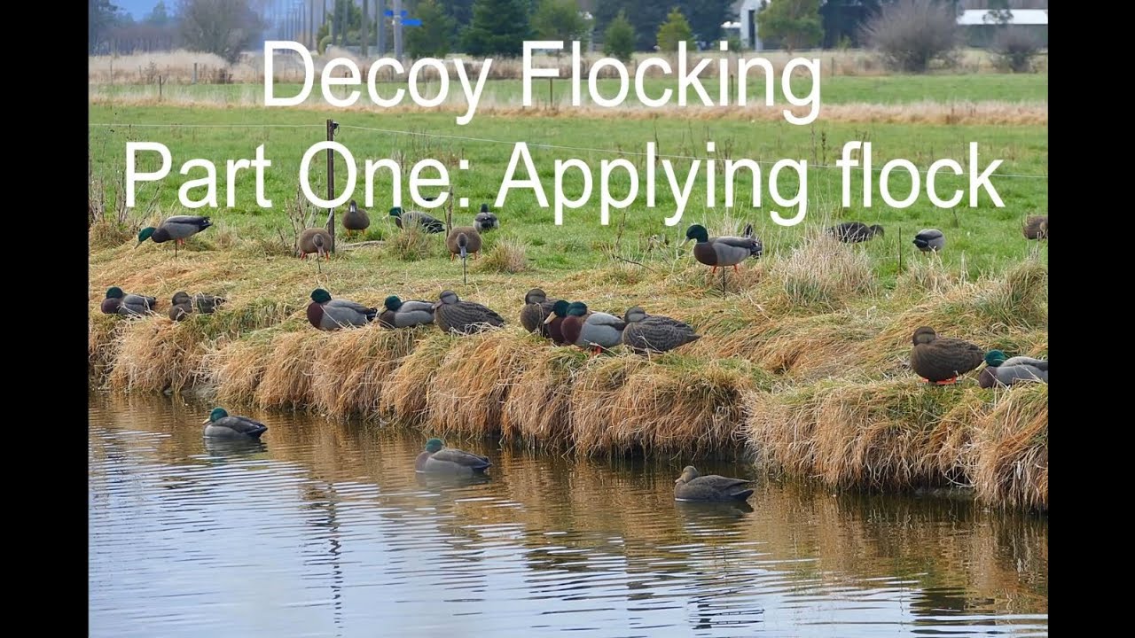 Decoy Flocking Part one: Applying Flock
