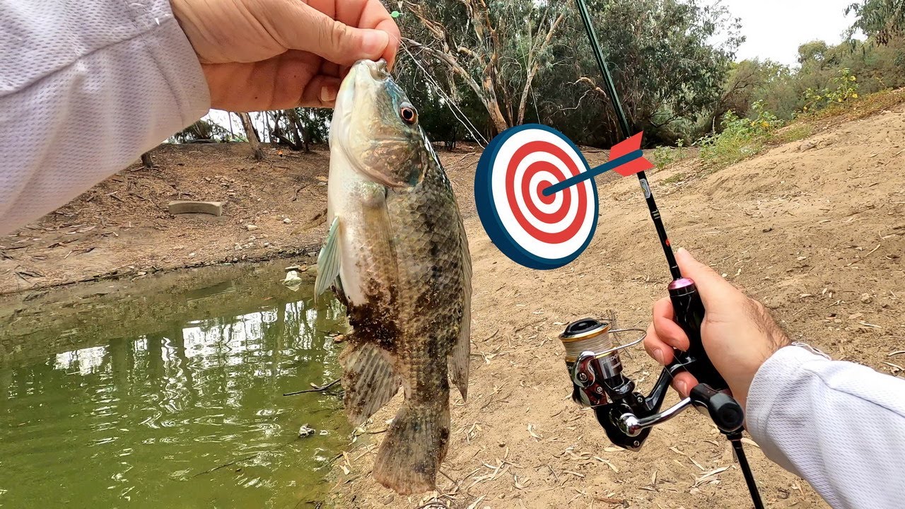סשן דיג XUL מס' 3 ל 2023 מהנה באגם הנקיק 🎣 3rd enjoyable XUL fishing of 2023 at the lake HE/EN Subs