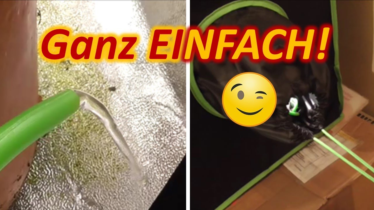 Luftfeuchtigkeit in der Growbox erh&ouml;hen 🥦 | Kleinstes Problem 😉