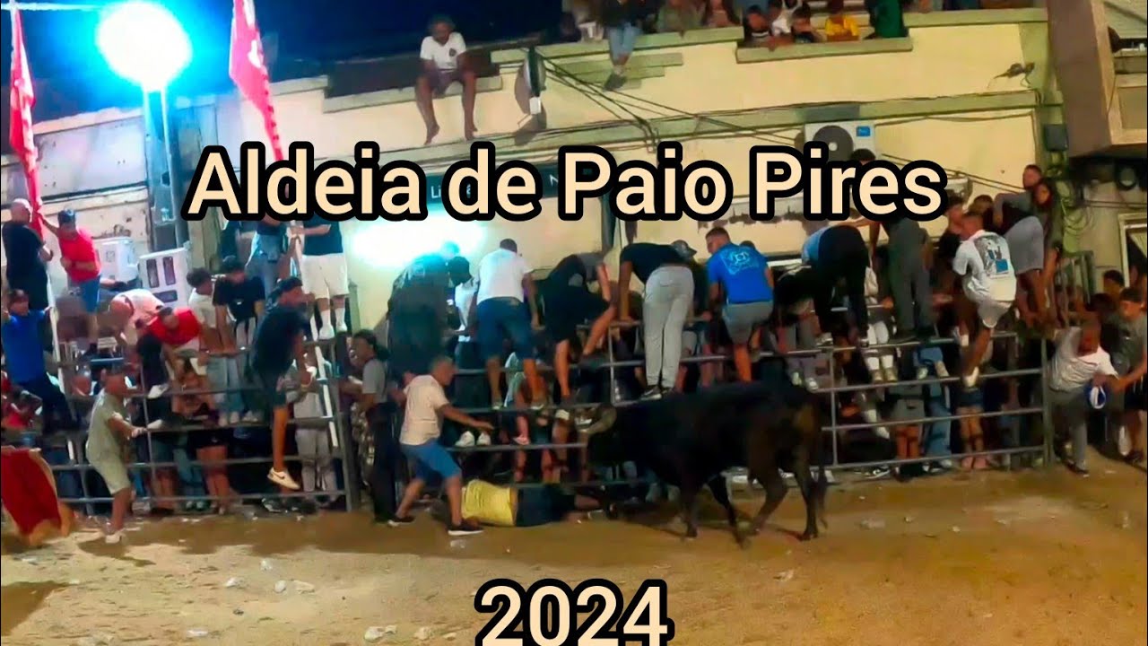 Largadas de Touros Paio Pires 2024