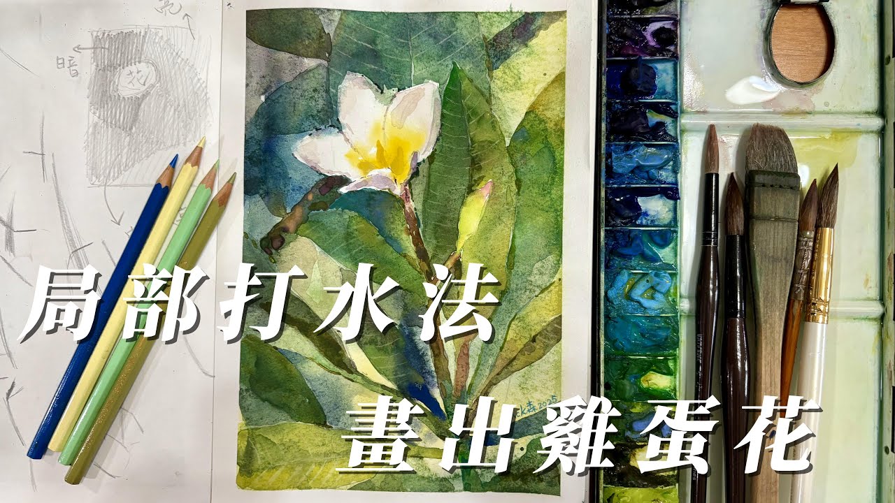 以局部打水區隔法畫出可愛的雞蛋花#easypainting #watercolor #plumeriaflower
