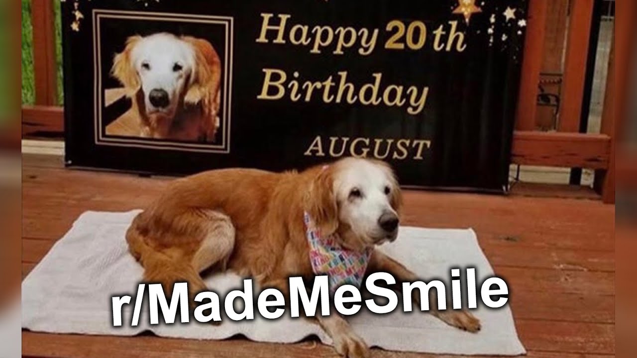 Its Time to Smile Today. Here's Some Memes. (r/MadeMeSmile)