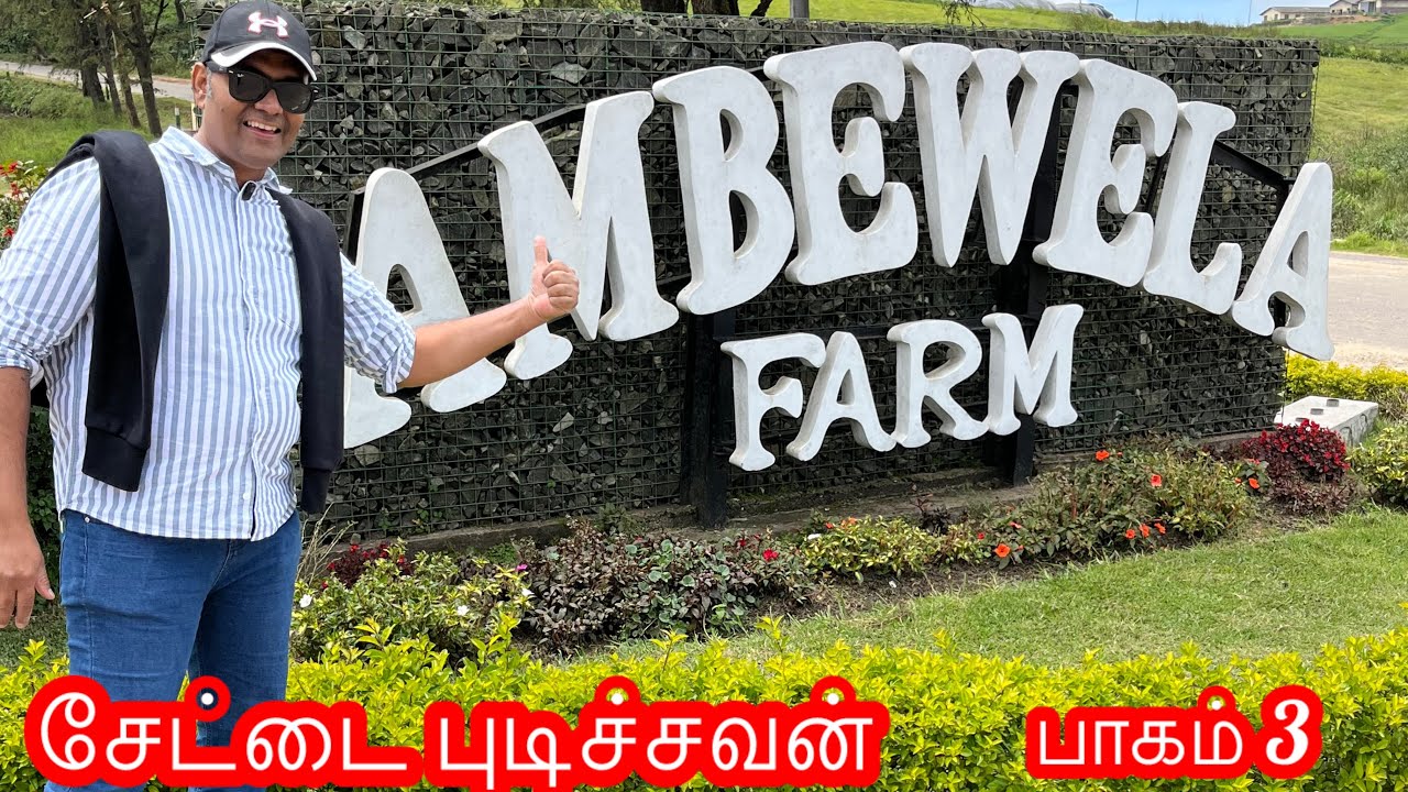 🐂🐂🇱🇰நியுசிலாந்து பால் பண்ணைக்கு போவோமா 😜🏃‍♂️🚘