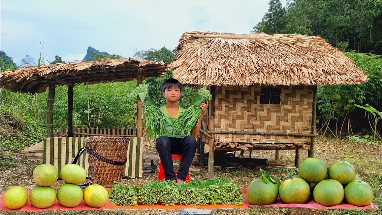 Poor boy - Harvest vegetables, fruits and vegetables to sell / Build a life alone