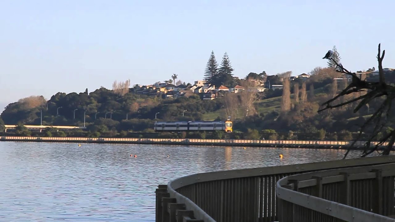 Orakei Basin Walkway