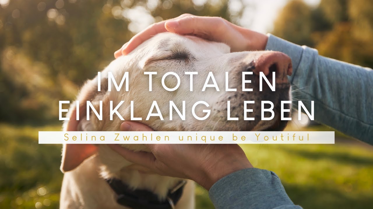 Strichmännchen-Technik I Haustiere in die Selbstheilung begleiten 🐶