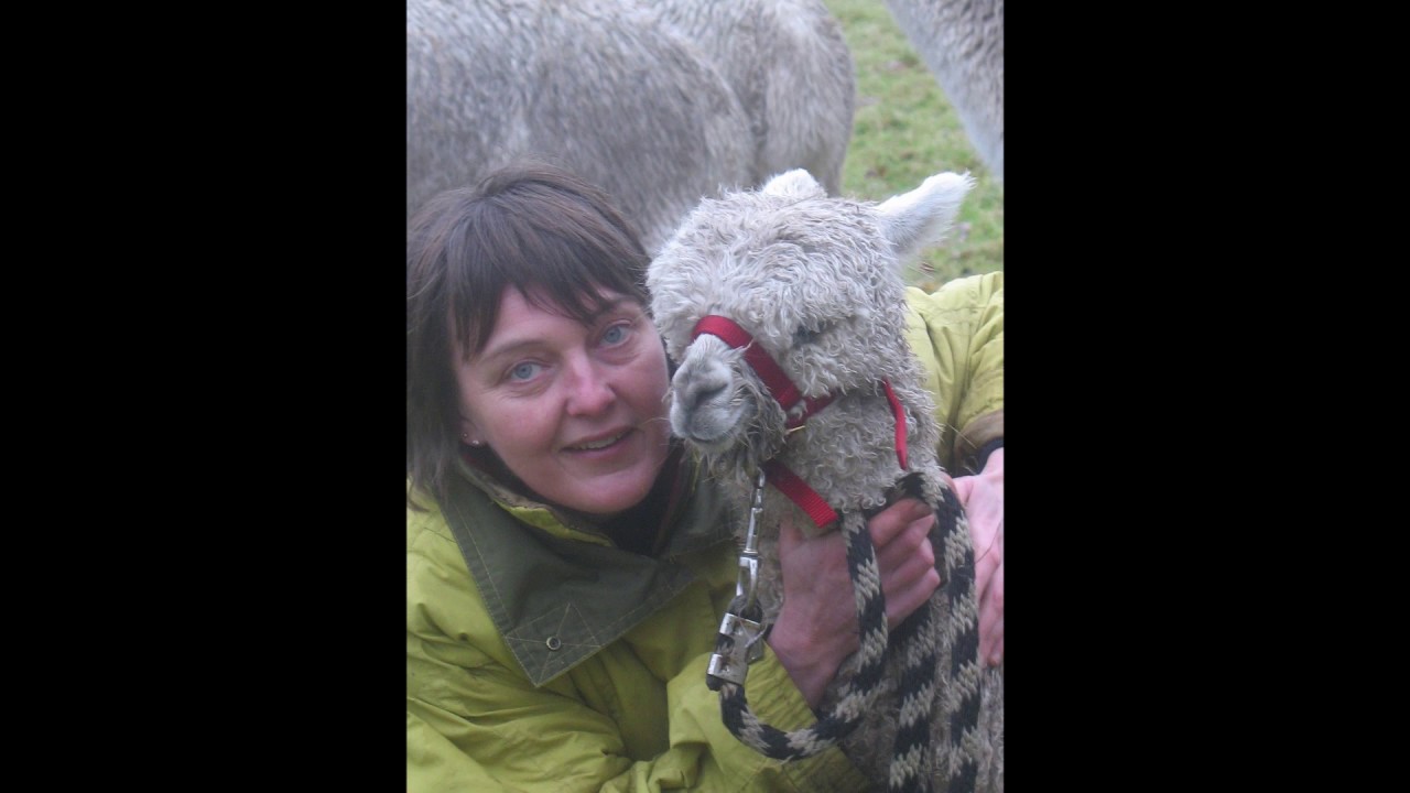 S'installer avec des alpagas. Les objectifs selon chacun.