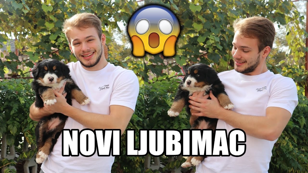 MOJ NOVI PAS! *cute*