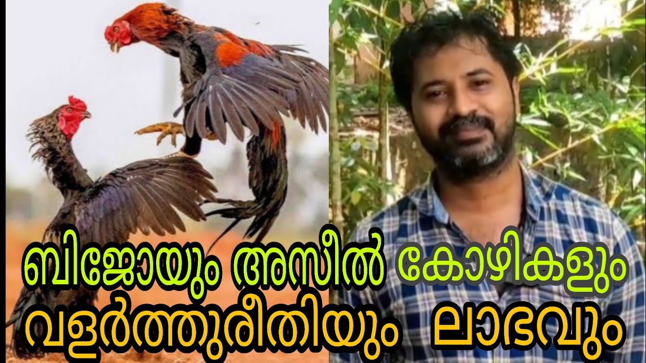 തികച്ചും ലാഭകരമായ ബിസിനസ് || Aseelhen farming