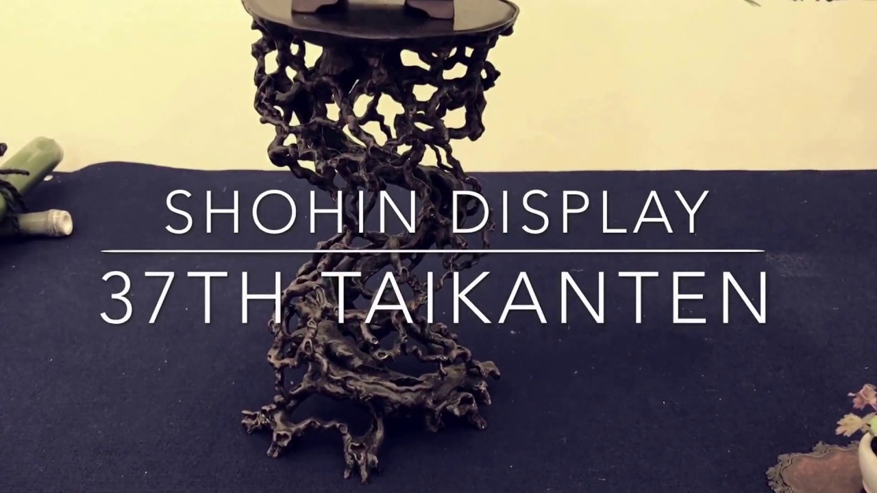 Shohin bonsai display at 2017 Taikan-ten, Koyo, Japan.