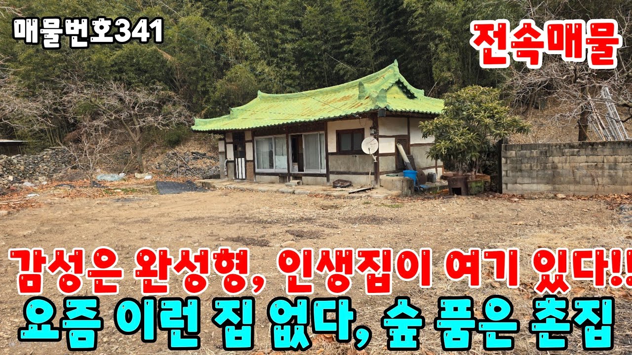 [매물번호341]밀양전원주택매매, 감성은 완성형, 인생집이 여기있다!! 요즘 이런 집 없다, 숲 품은 촌집 #밀양전원주택매매 #밀양세컨하우스 #밀양시골집 #밀양부동산