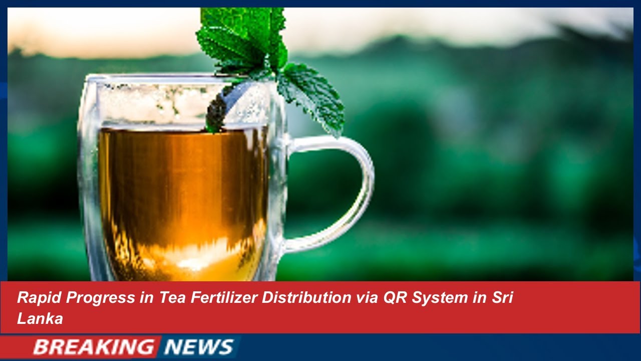 Rapid Progress in Tea Fertilizer Distribution via QR System in Sri Lanka