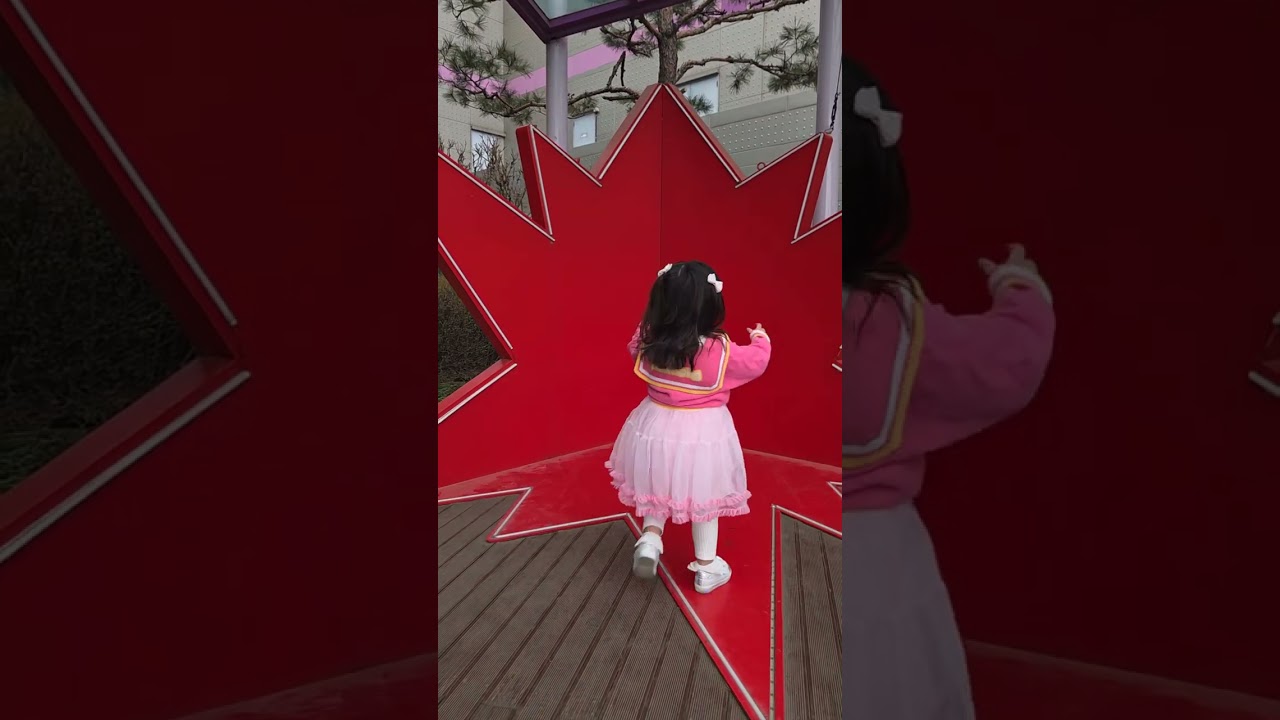 1256일 골든춤