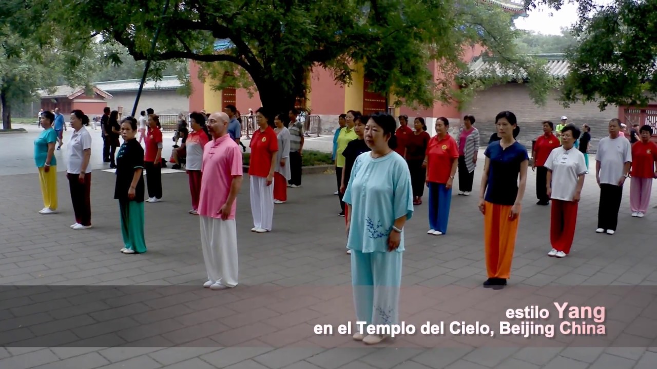 TaiChi, 8 movimientos estilo Yang