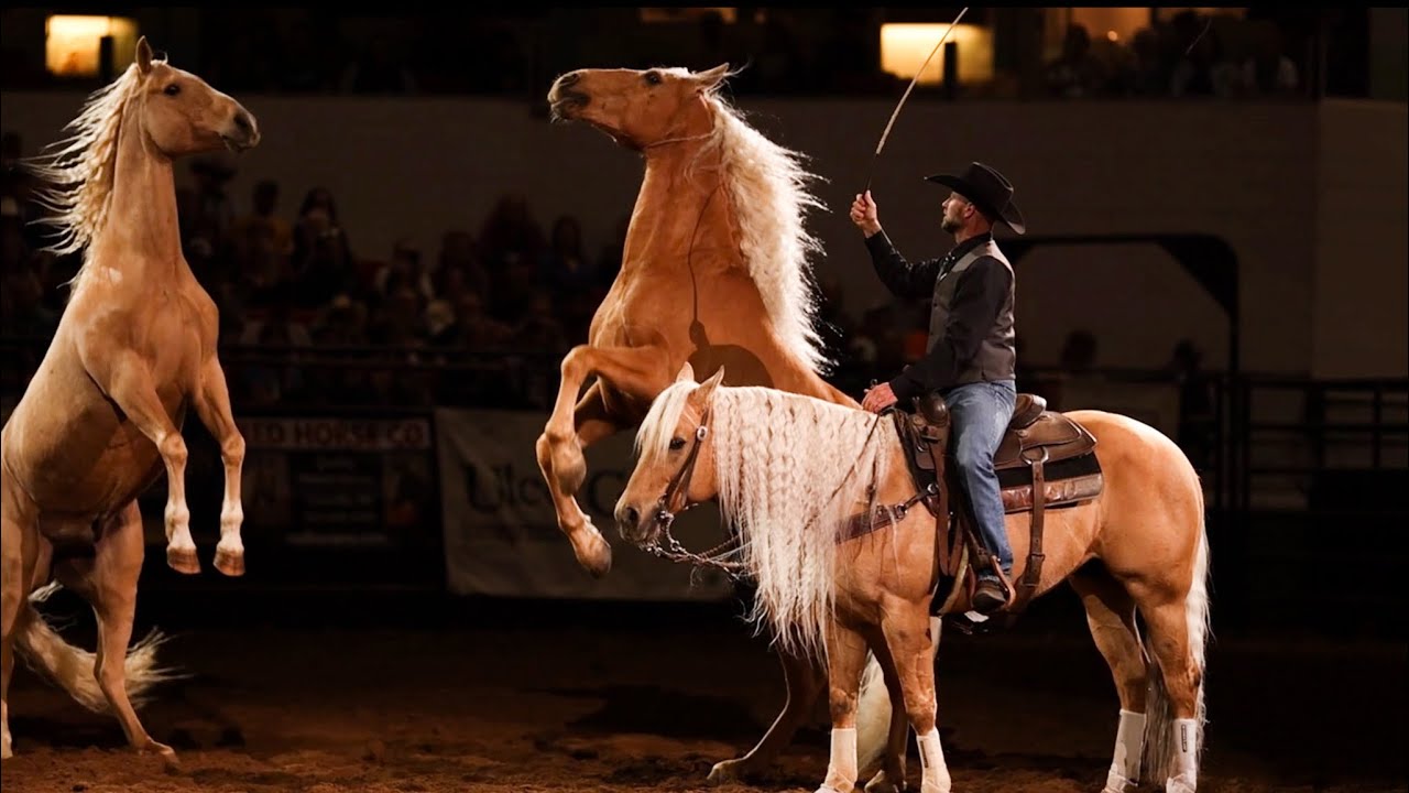 Dan James palomino performance at the Midwest Horse Fair 2023