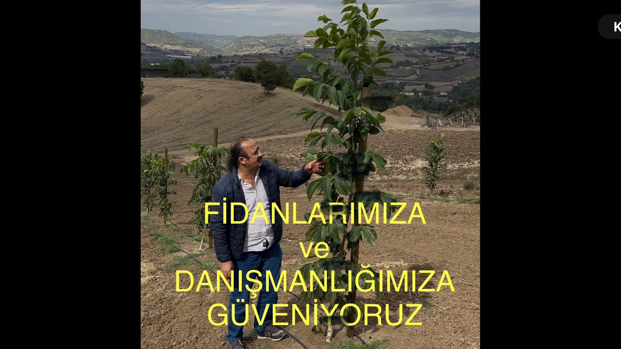 FİDANIMIZA VE DANIŞMANLIĞIMIZA GÜVENİYORUZ. Yeterki doğru toprak, su , iklim olsun Ceviz Adam Ahmet 