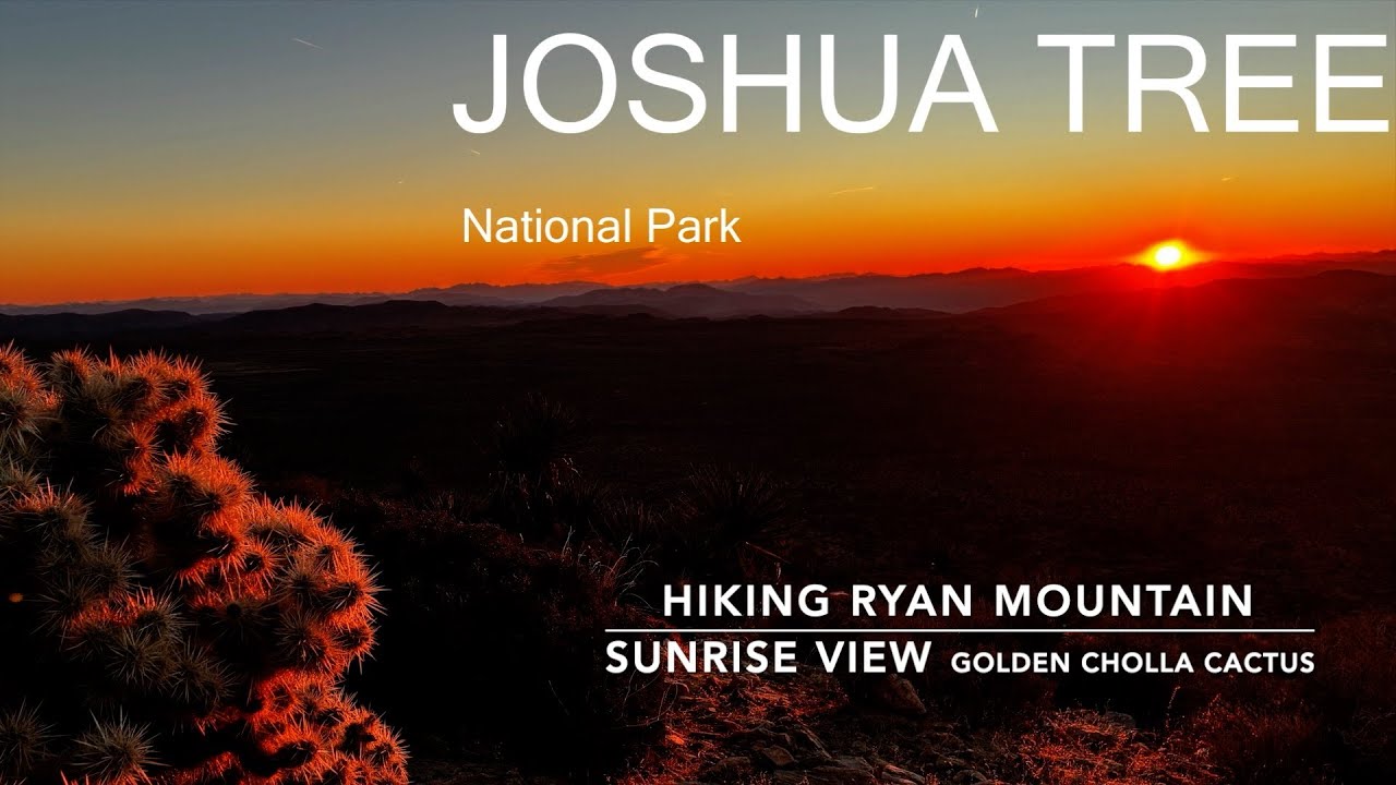 This View in Joshua Tree Changed My Mind About the Desert. Sunrise Hike to the top of Ryan Mountain