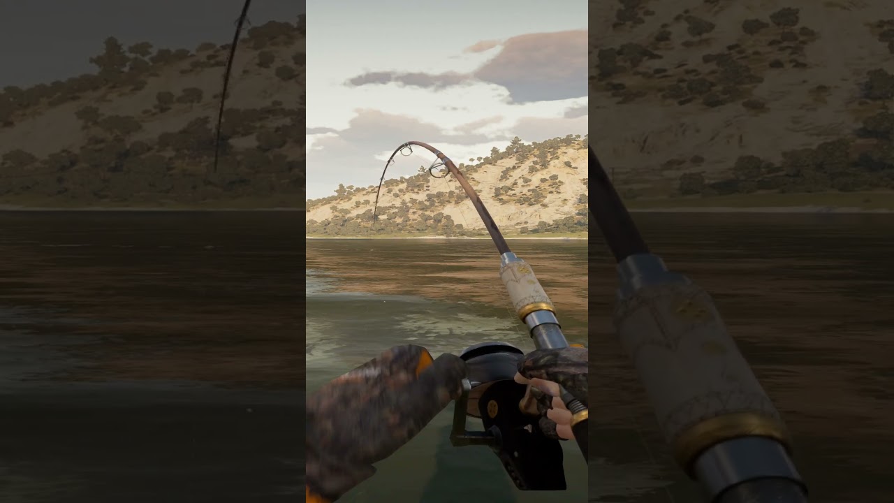 Catching Carp In The New DLC 