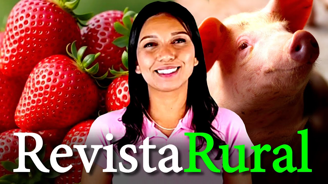 PROGRAMA REVISTA RURAL - 26/10/2025