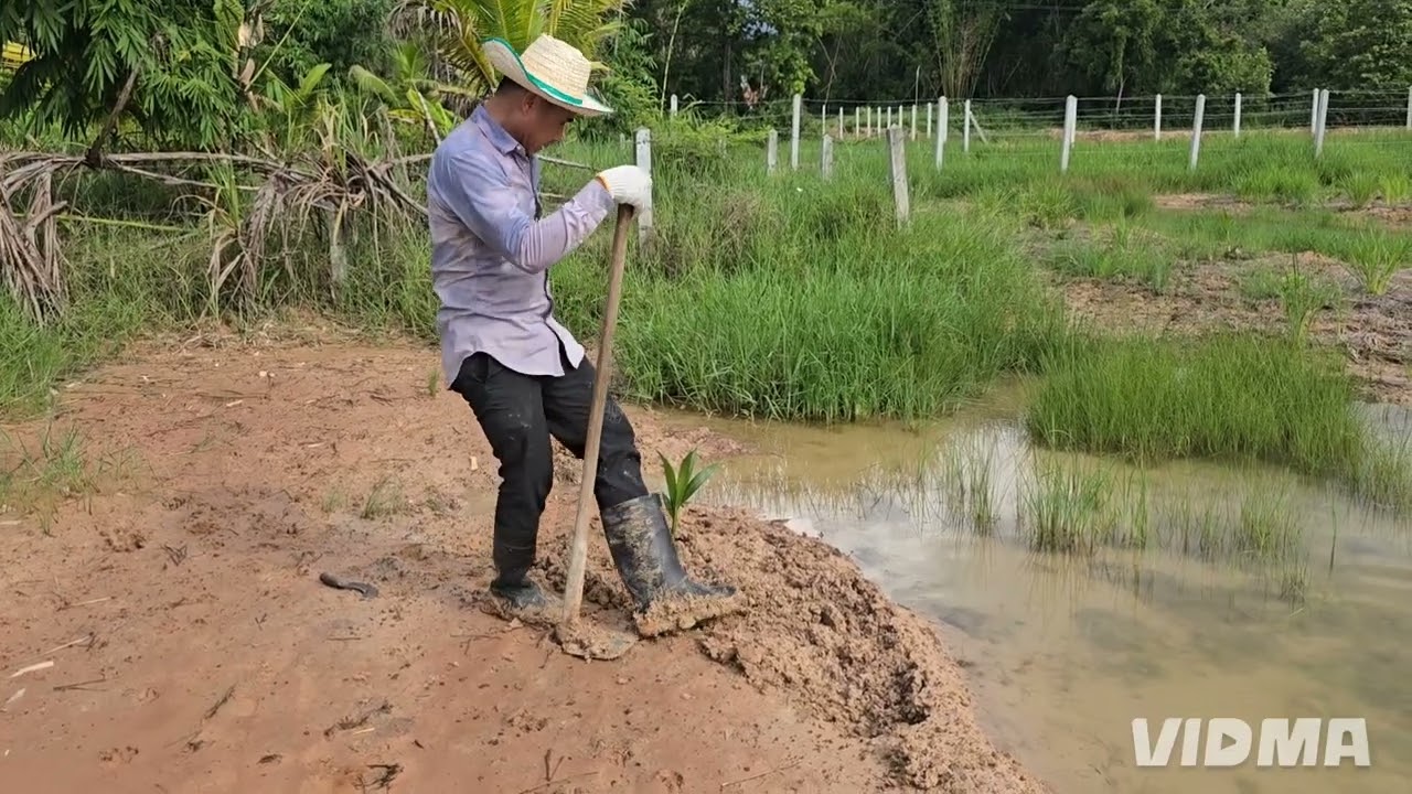 แปลงสาธิตมะพร้าวน้ำหอมบ้านแพ้ว