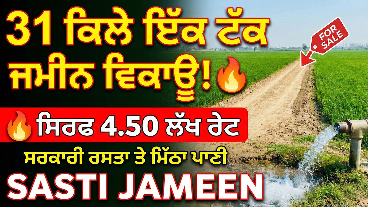 31 ਕਿਲੇ ਇੱਕ ਟੱਕ ਜਮੀਨ ਵਿਕਾਊ! 🔥 ਸਿਰਫ 4.50 ਲੱਖ ਰੇਟ | ਸਰਕਾਰੀ ਰਸਤਾ ਤੇ ਮਿੱਠਾ ਪਾਣੀ | Sasti Jameen