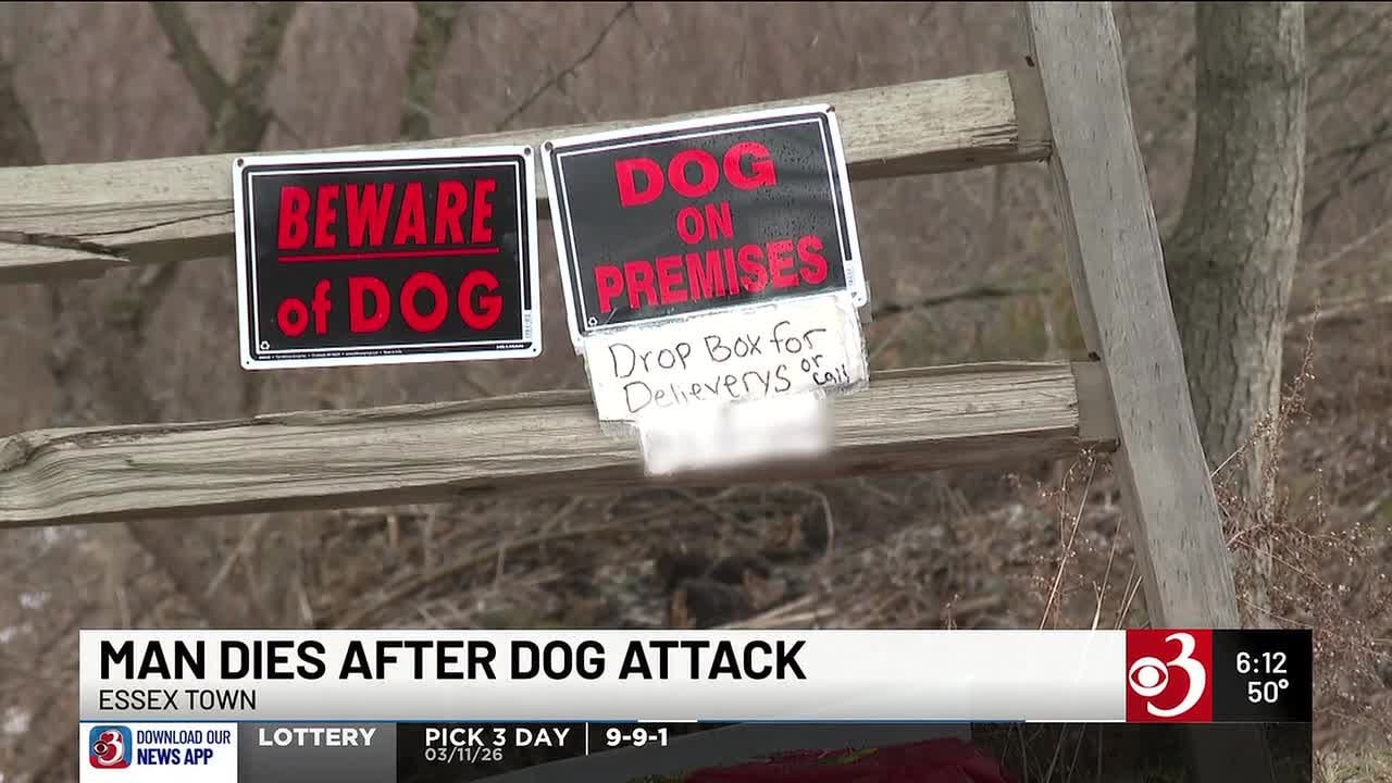 Смерть жителя Эссекса от нападения собаки вызвала призывы к изменению постановления.
