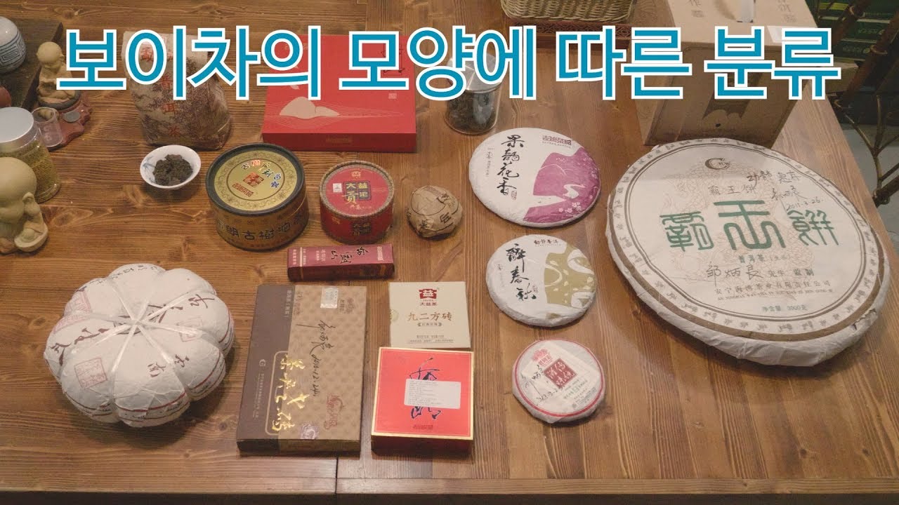 보이차의 다양한 모양 분류법: 병차, 전차, 타차, 금과공차 알아보기 [노반차품 동정보이차]