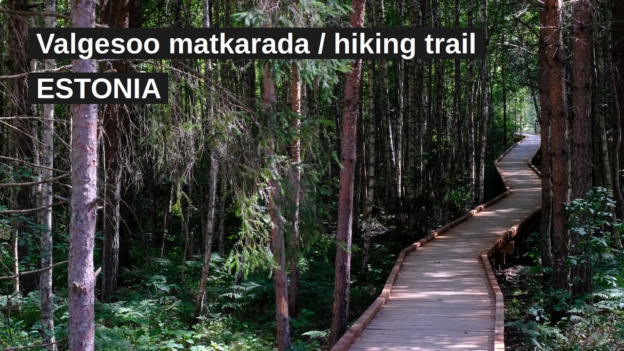 Valgesoo matkarada / hiking trail, Estonia (4K video)
