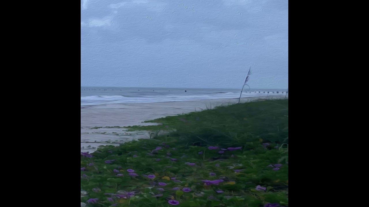 SOLO~ Salt Water
