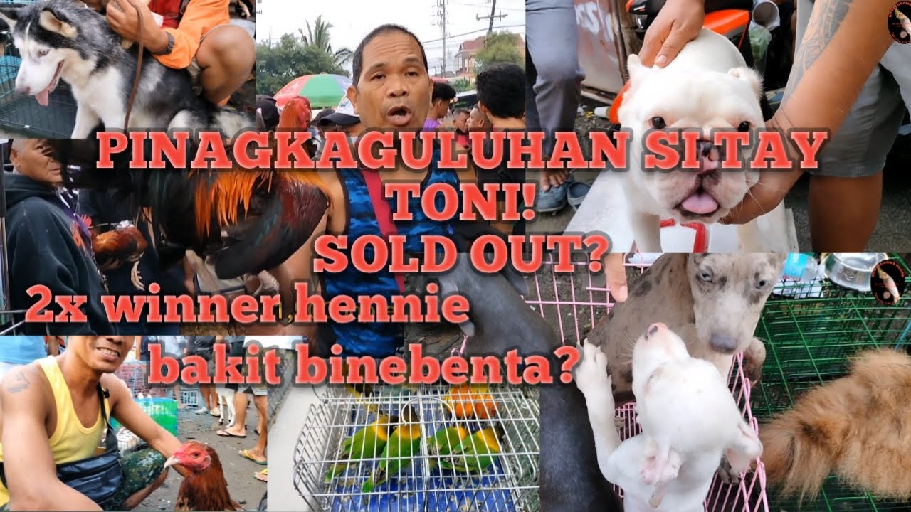 TAY TONI PINAGKAGULUHAN! SOLD OUT?: TIANGEAN NG PETS AND FARM ANIMALS: BOCAUE BULACAN.
