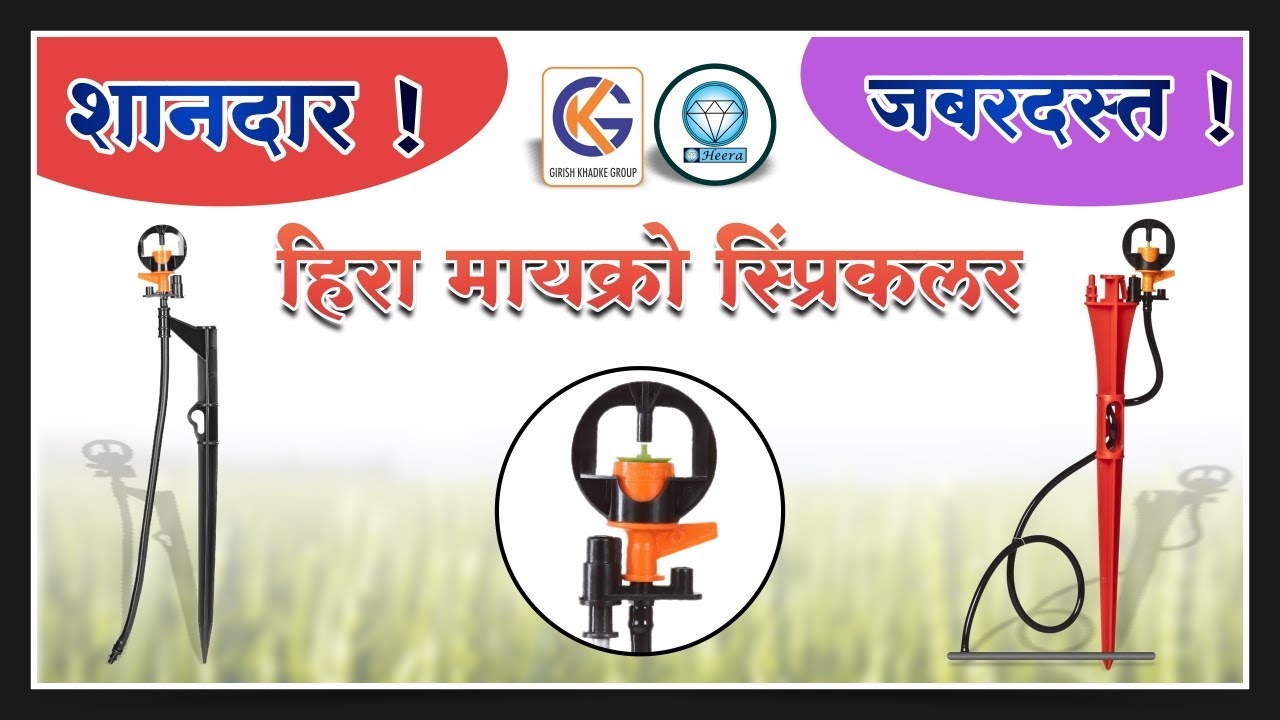 शानदार ! जबरदस्त !! हिरा मायक्रो स्प्रिंकलर, Amazing micro sprinkler irrigation