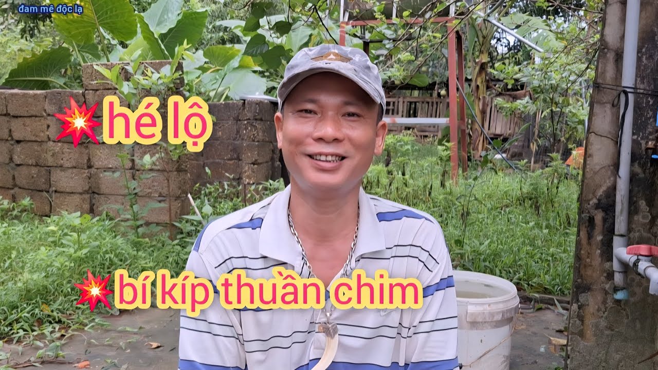 H&eacute; Lộ B&iacute; K&iacute;p Thuần Chim Thả Kh&ocirc;ng Đi | đam m&ecirc; độc lạ 
