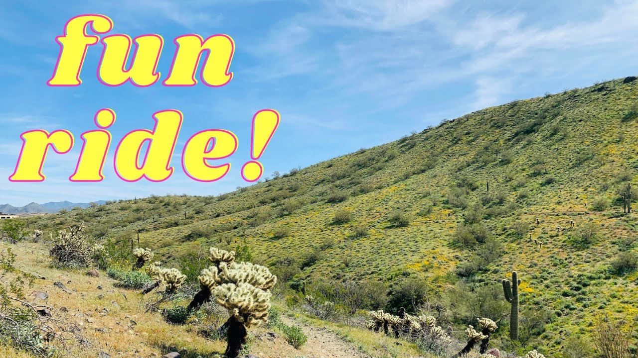 The best mountain Biking trails in phoenix Arizona at Apache Wash Trailhead Ocotillo and Sidewinder
