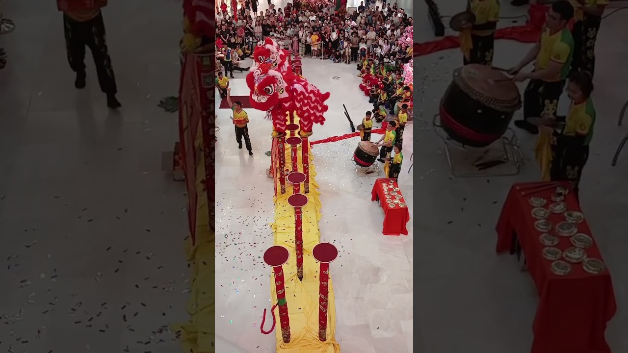 The Gardens Mall Lion Dance CNY2026