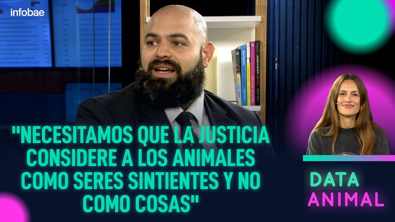 &iquest;Qu&eacute; derechos tienen los animales en Argentina? | #DataAnimal